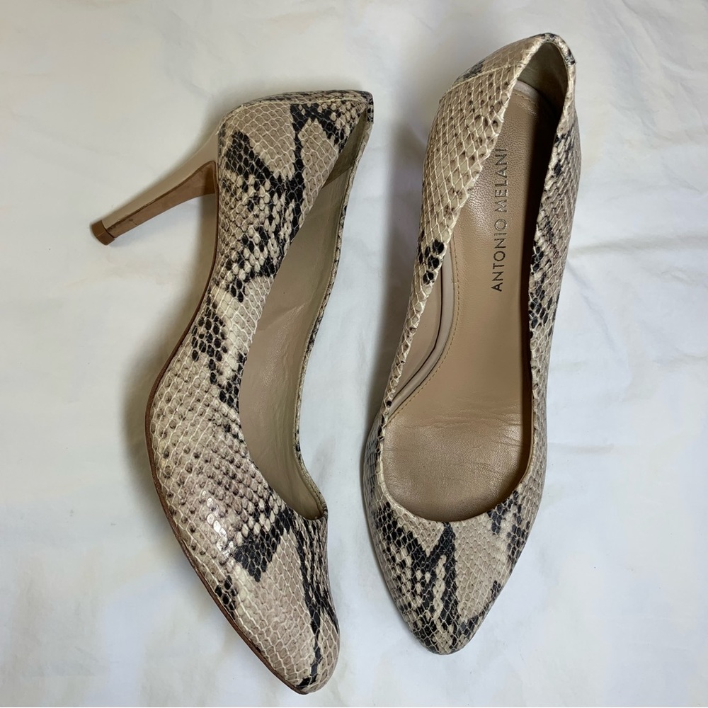 Antonio Melani Paton Snake Reptile Python Print L… - image 7